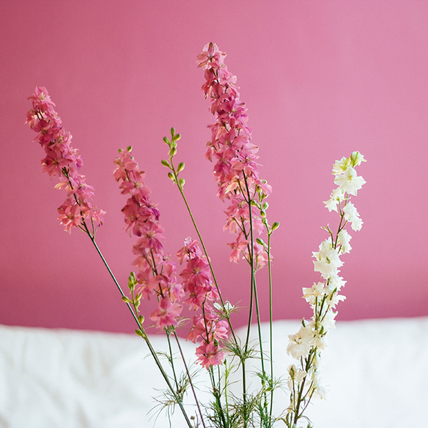 feminine-charm